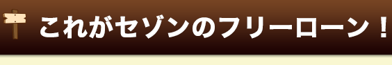 これがセゾンのフリーローン
