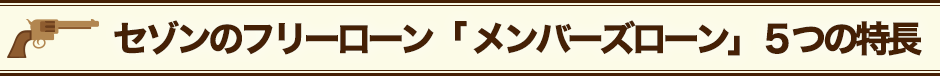 セゾンのフリーローン「メンバーズローン」５つの特長