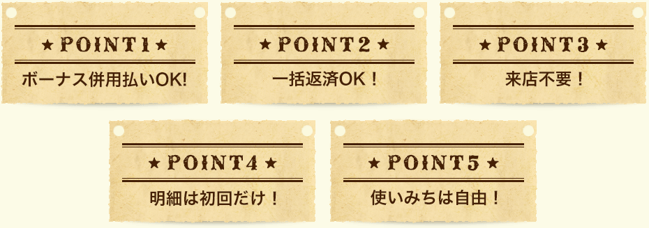 ボーナス併用払いOK!、一括返済OK!、来店不要！、明細は初回だけ！、使いみちは自由！