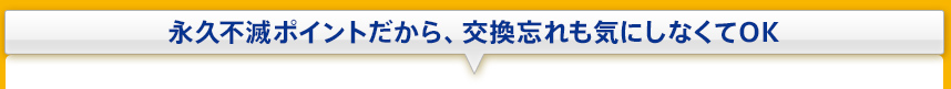 永久不滅ポイントだから、交換忘れも気にしなくてOK