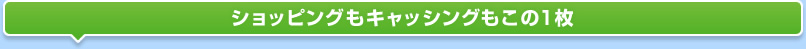 ショッピングもキャッシングもこの1枚
