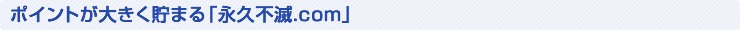 ポイントが大きく貯まる「永久不滅.com」